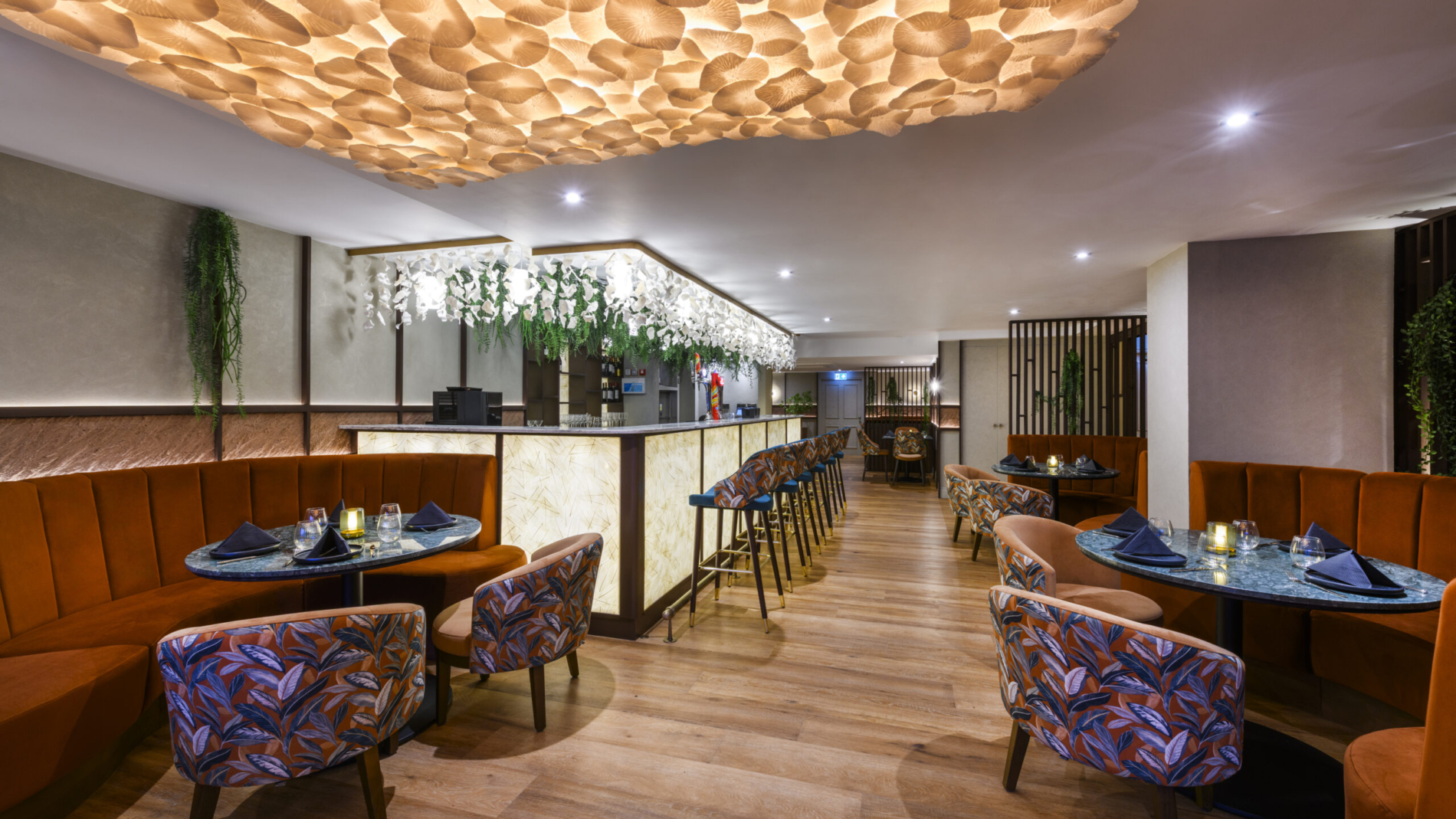 Mezwaani Restaurant - Sheffield, UK
Copyright - Richard Southall